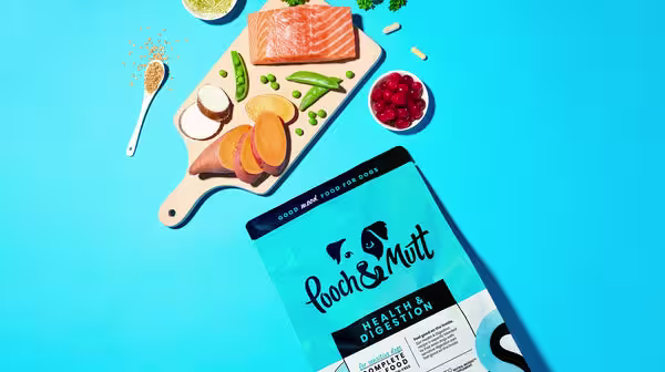 HUA vs LUA in Dalmatians: Everything you should know-Image 3