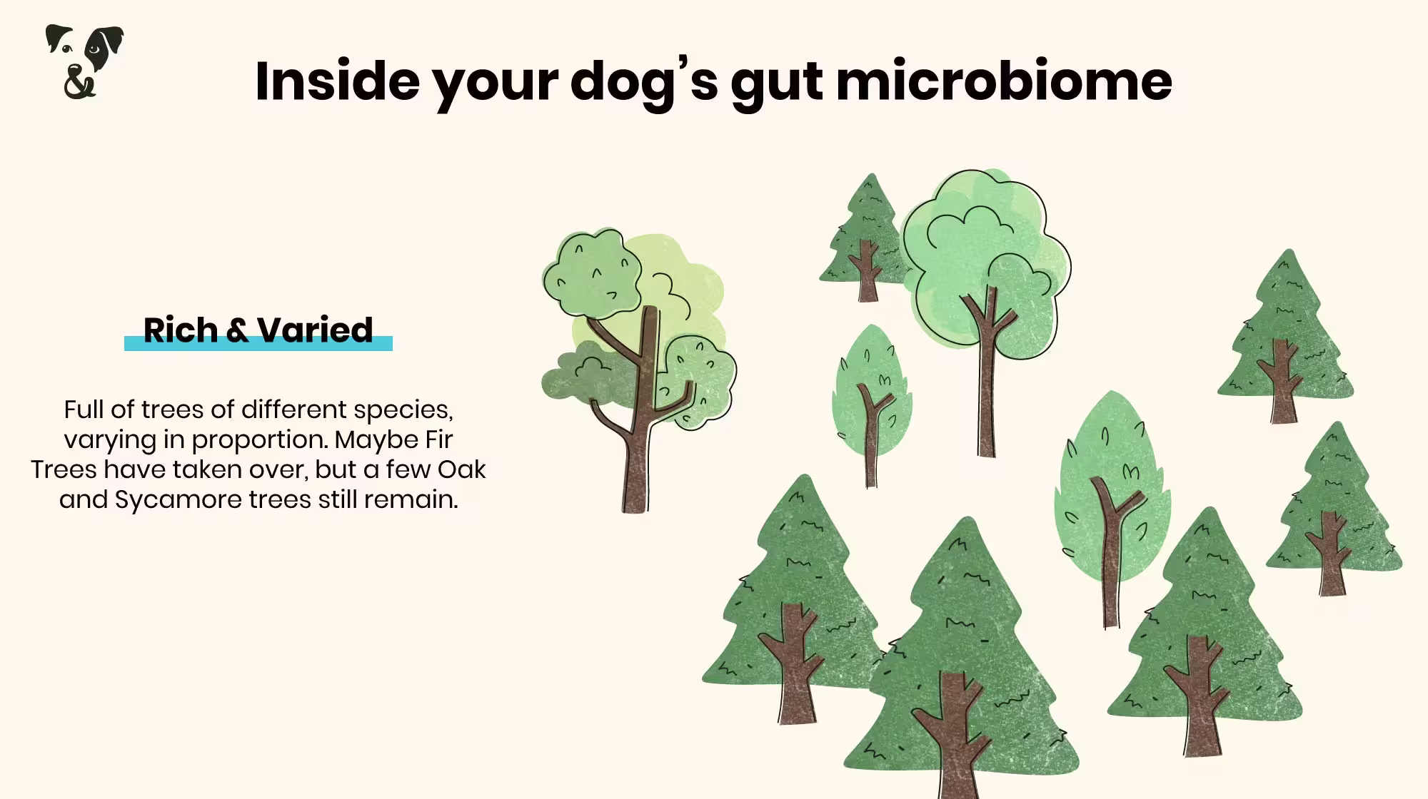 Your dog’s gut health: What is a microbiome?-Image 2