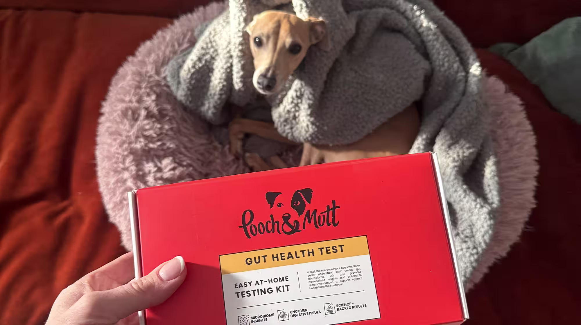 Lennie’s Gut Health Story with Kefir-Image 2