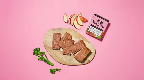 Should you feed your dog human food?-Image 3