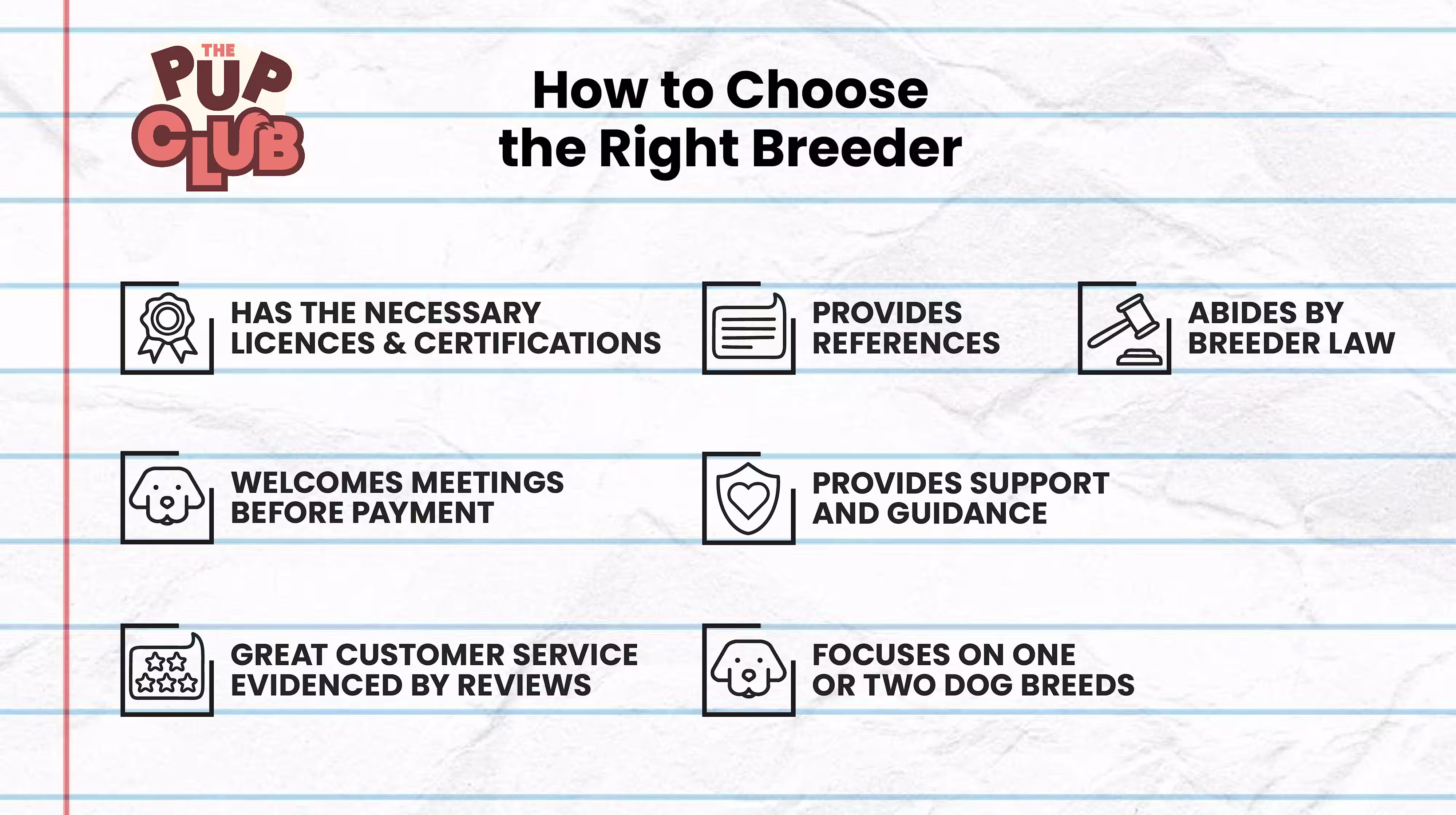 Choosing your puppy: How to find a reputable breeder-Image 1