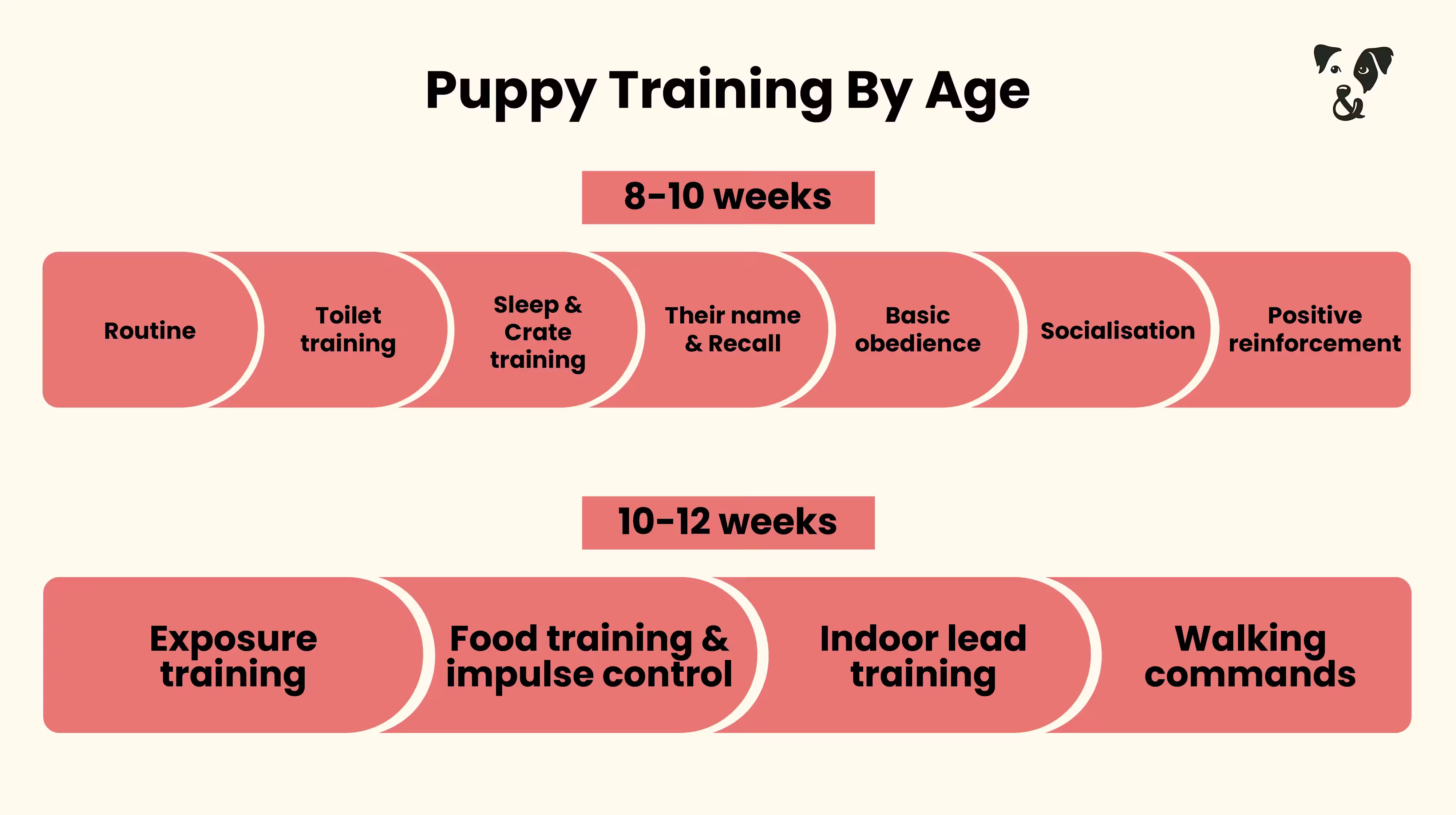 Puppy training schedule: By age-Image 2