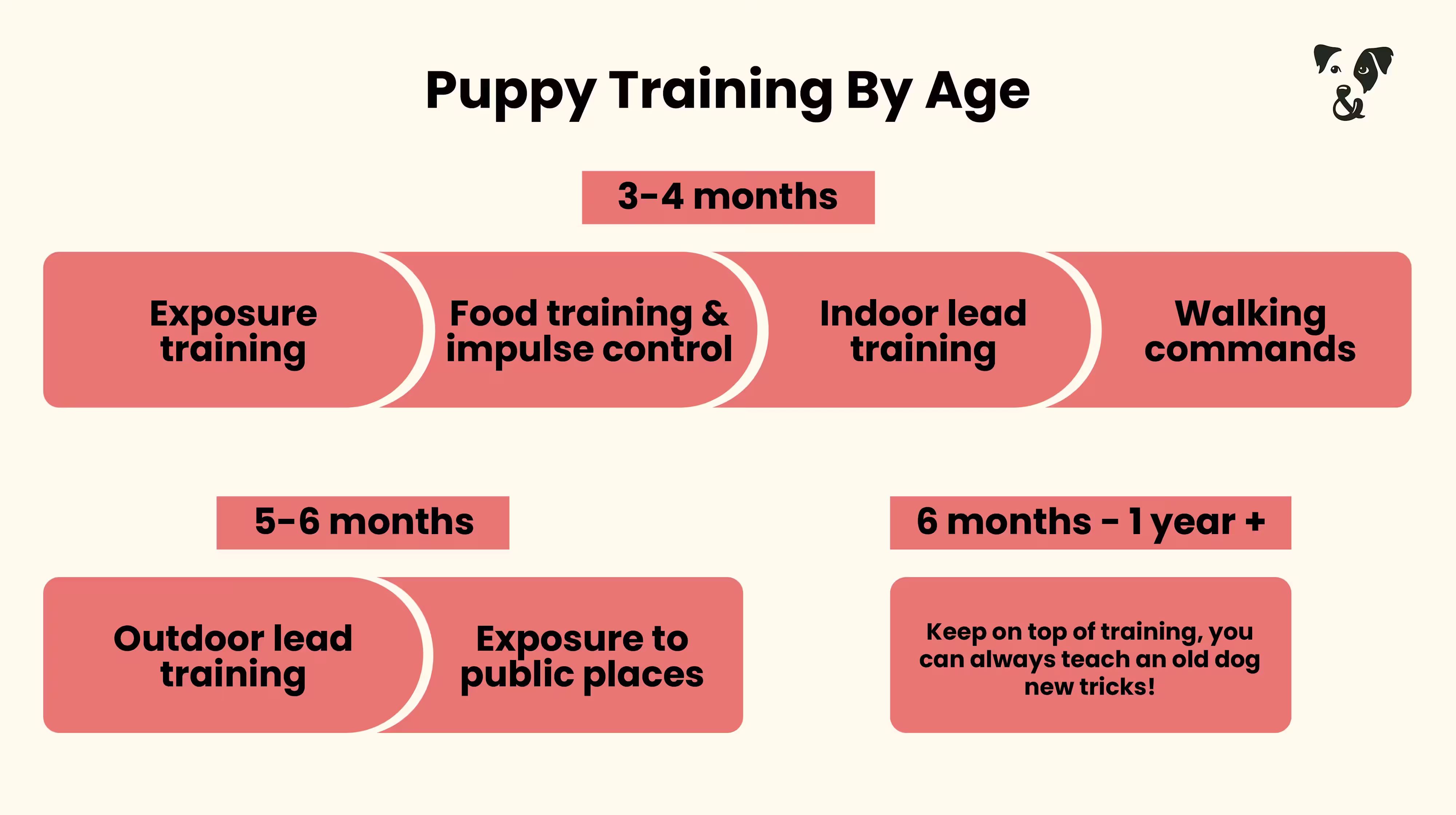 Puppy training schedule: By age-Image 3