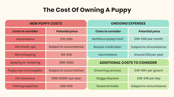 The costs of owning a puppy-Image 1