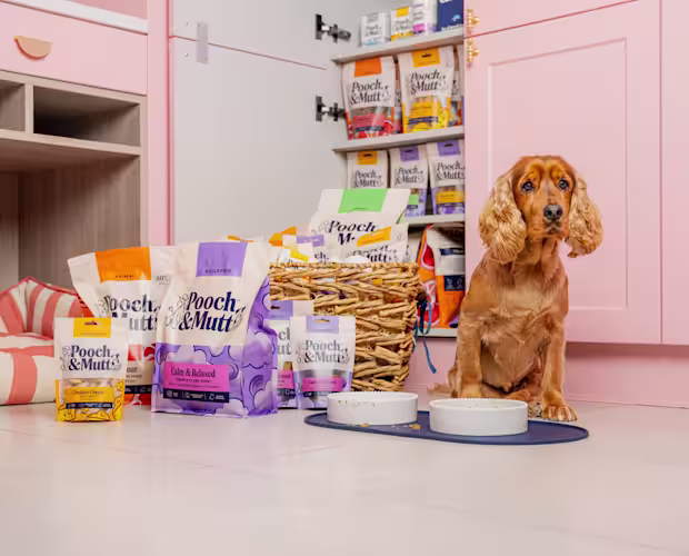 Teddy sits with a range of Pooch & Mutt food and treats