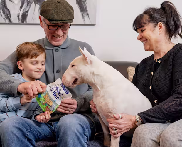 Editorial all breeds and needs spring HP 1