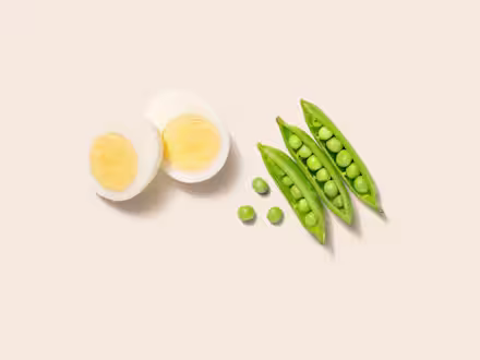 Egg & Pea Protein