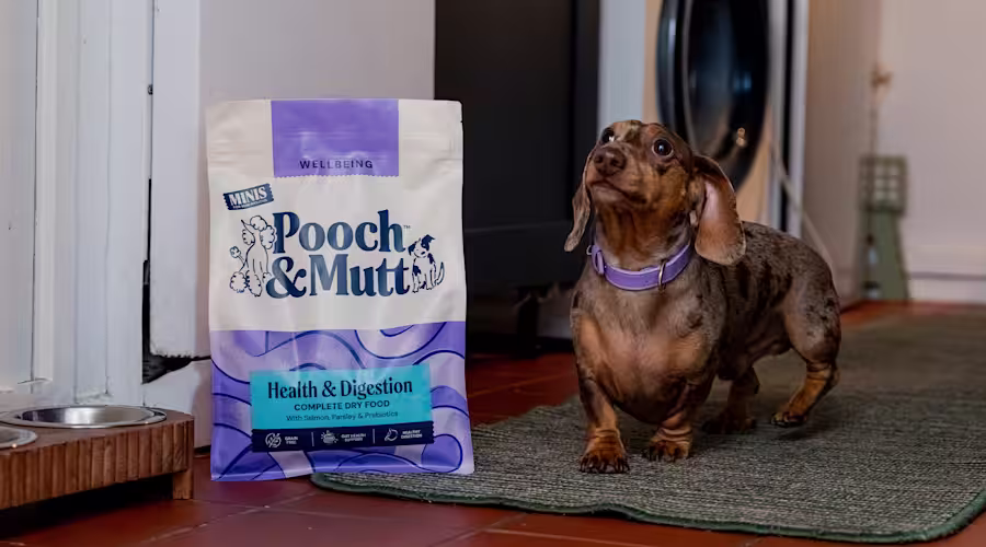 A Dachshund stands next to a bag of Pooch & Mutt Health & Digestion Dry Food.