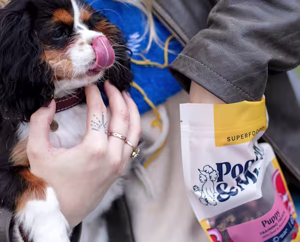 puppy training landing page secondary