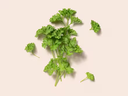 Parsley