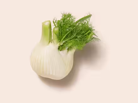 Fennel