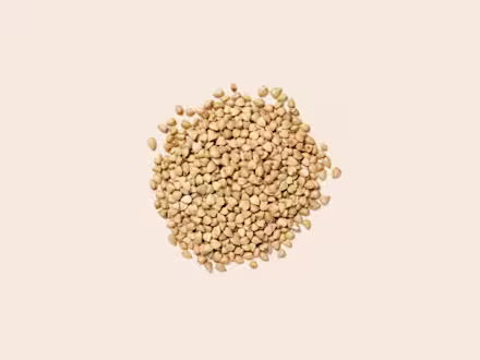 Buckwheat