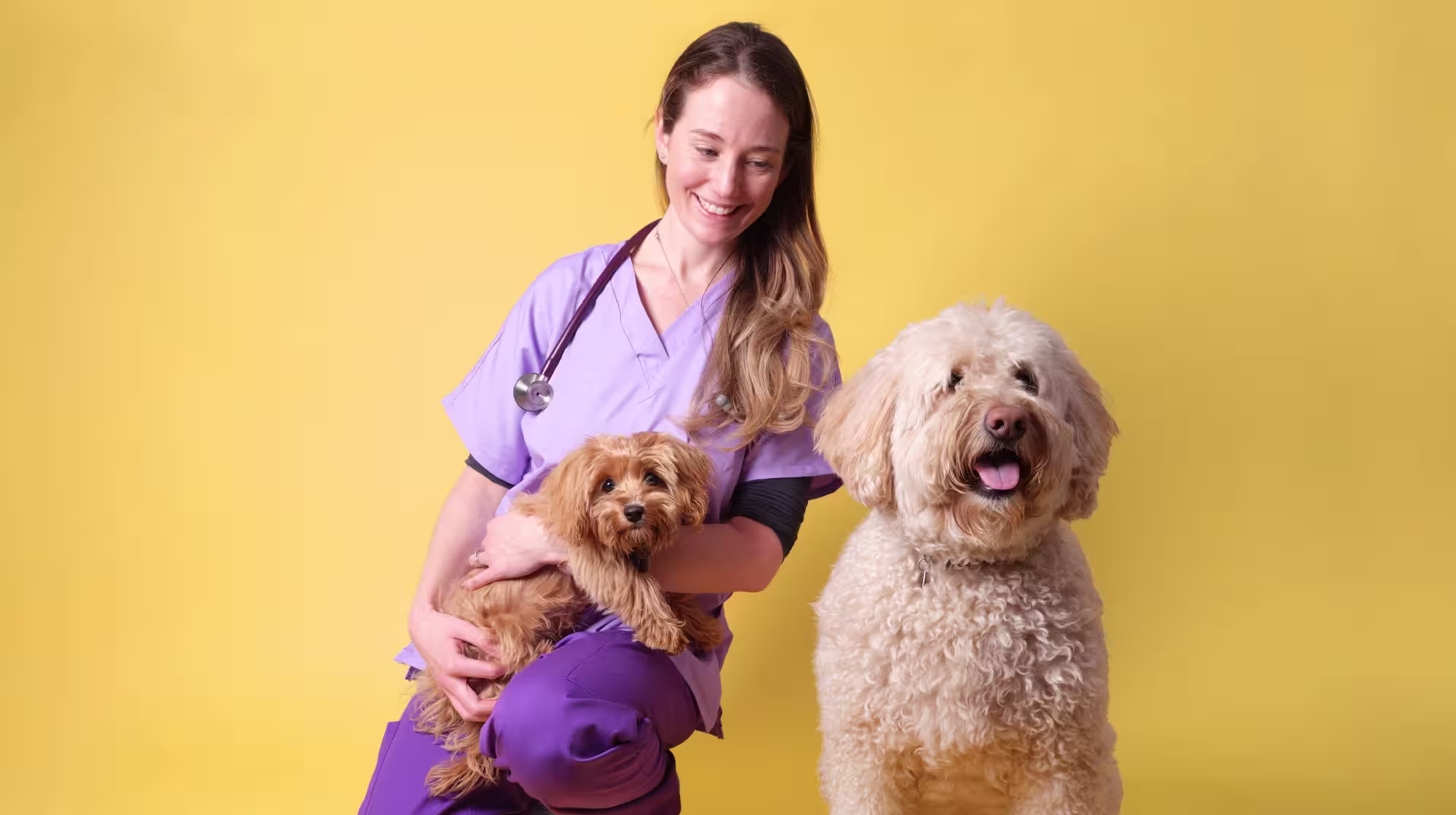 Signs your dog loves you-Image 1