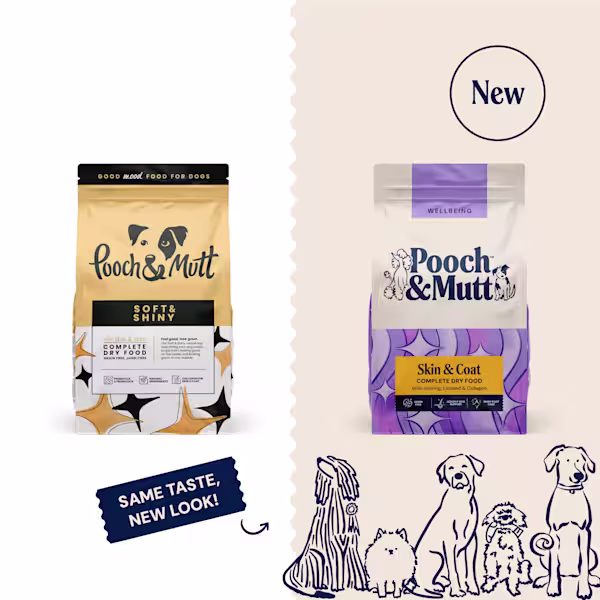 Skin & Coat Dry Food For Dogs