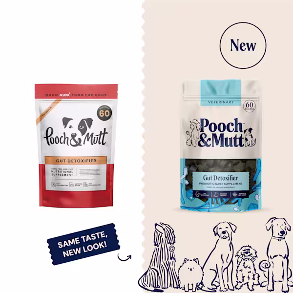 P&M NEW vs OLD SUPPLEMENTS VETERINARY GUT DETOXIFIER