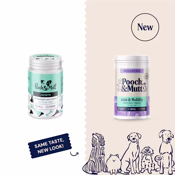 Joint Tablets For Dogs