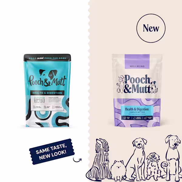 Health & Digestion Complete Wet Food