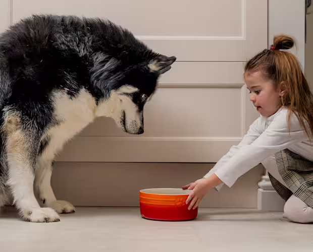 P&M WEBISTE BANNER IMAGE ABOUT OUR FOOD PDP