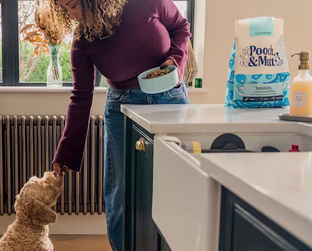 P&M WEBSITE VET BANNERS SENSITIVITY