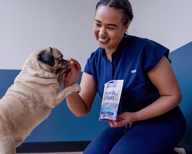 P&M WEBSITE VET BANNERS SUPPLEMENTS