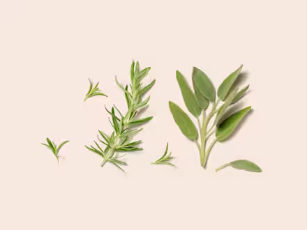 Rosemary & Sage
