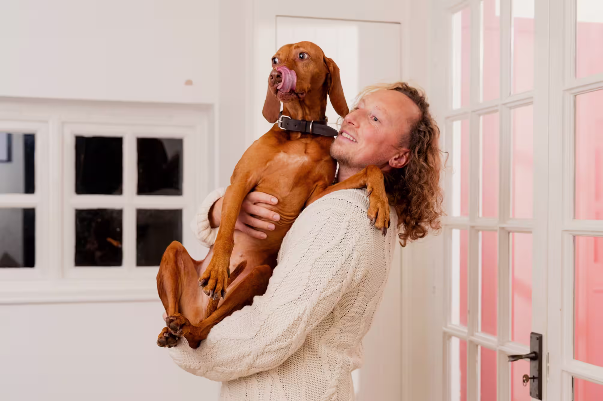 Sale collection banner