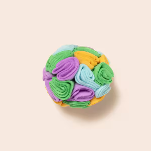 Snuffle Ball POOCHSNUFFLEBALL 1