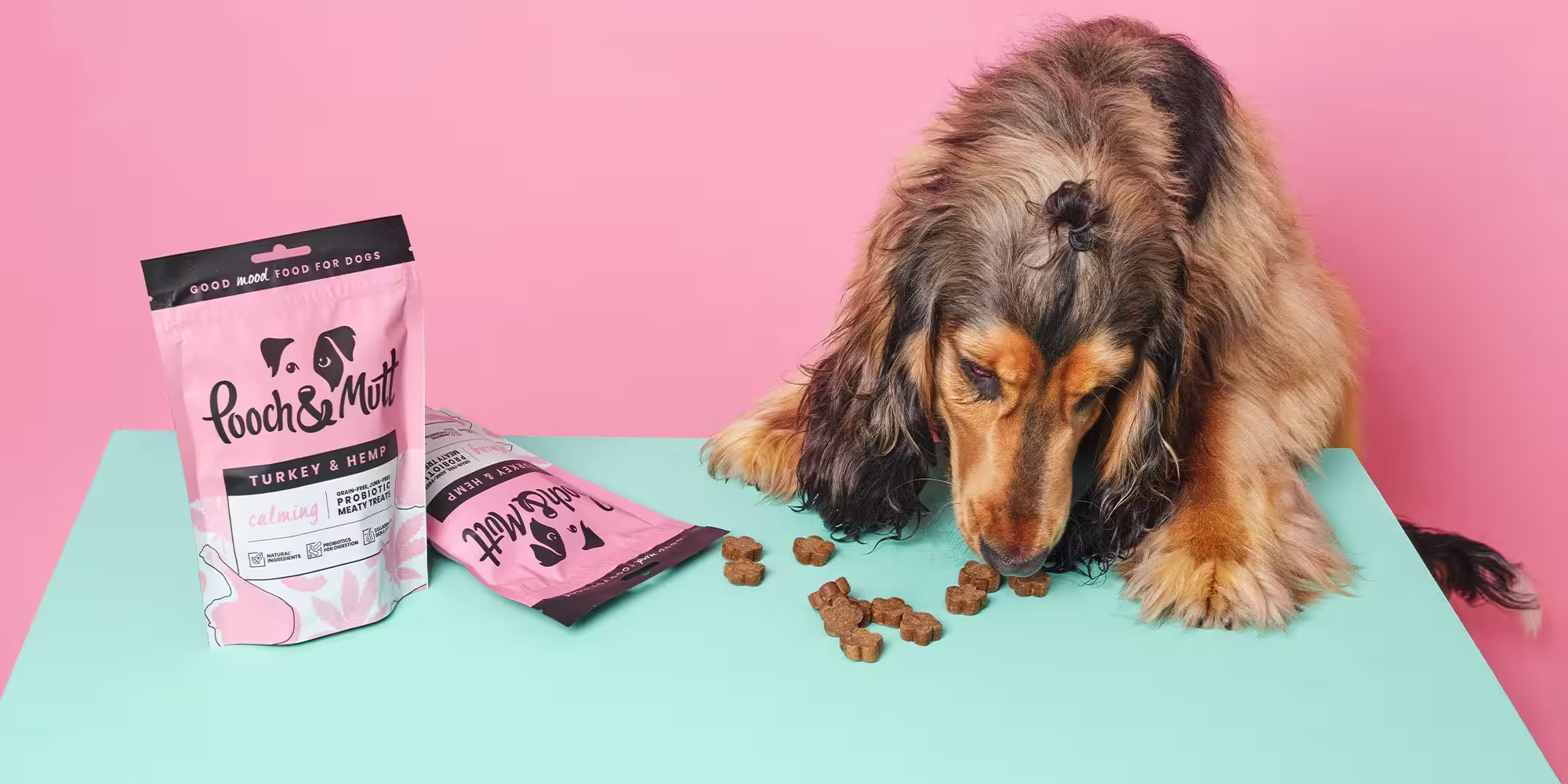 dog eating treats off a table