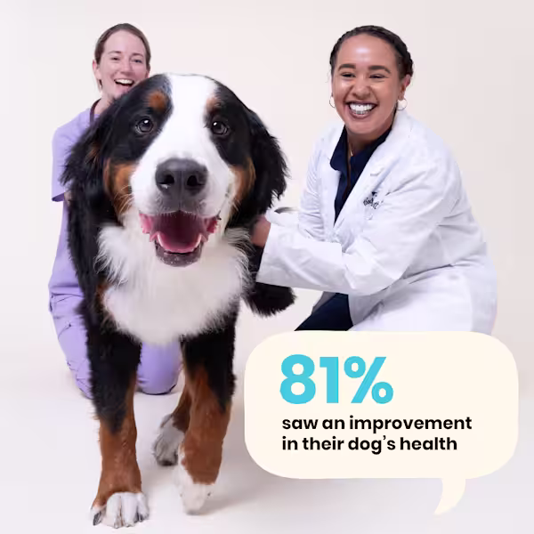 WEB PDP GUT HEALTH STATS 81 improved