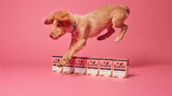 Dog’s anal glands: Common problems & treatment-Image 3