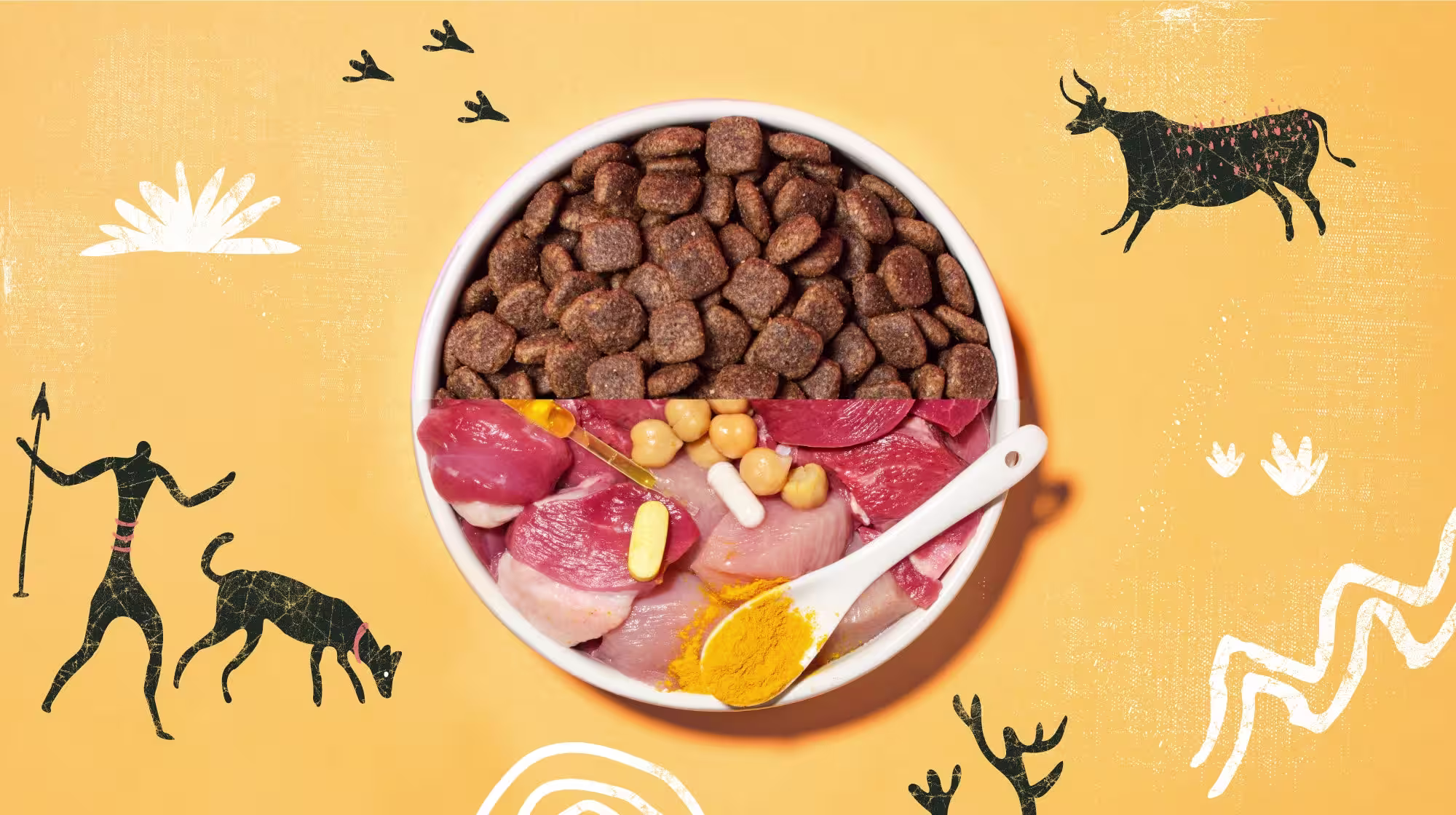 dog bowl showing kibble but then also fresh meat and vegetables 