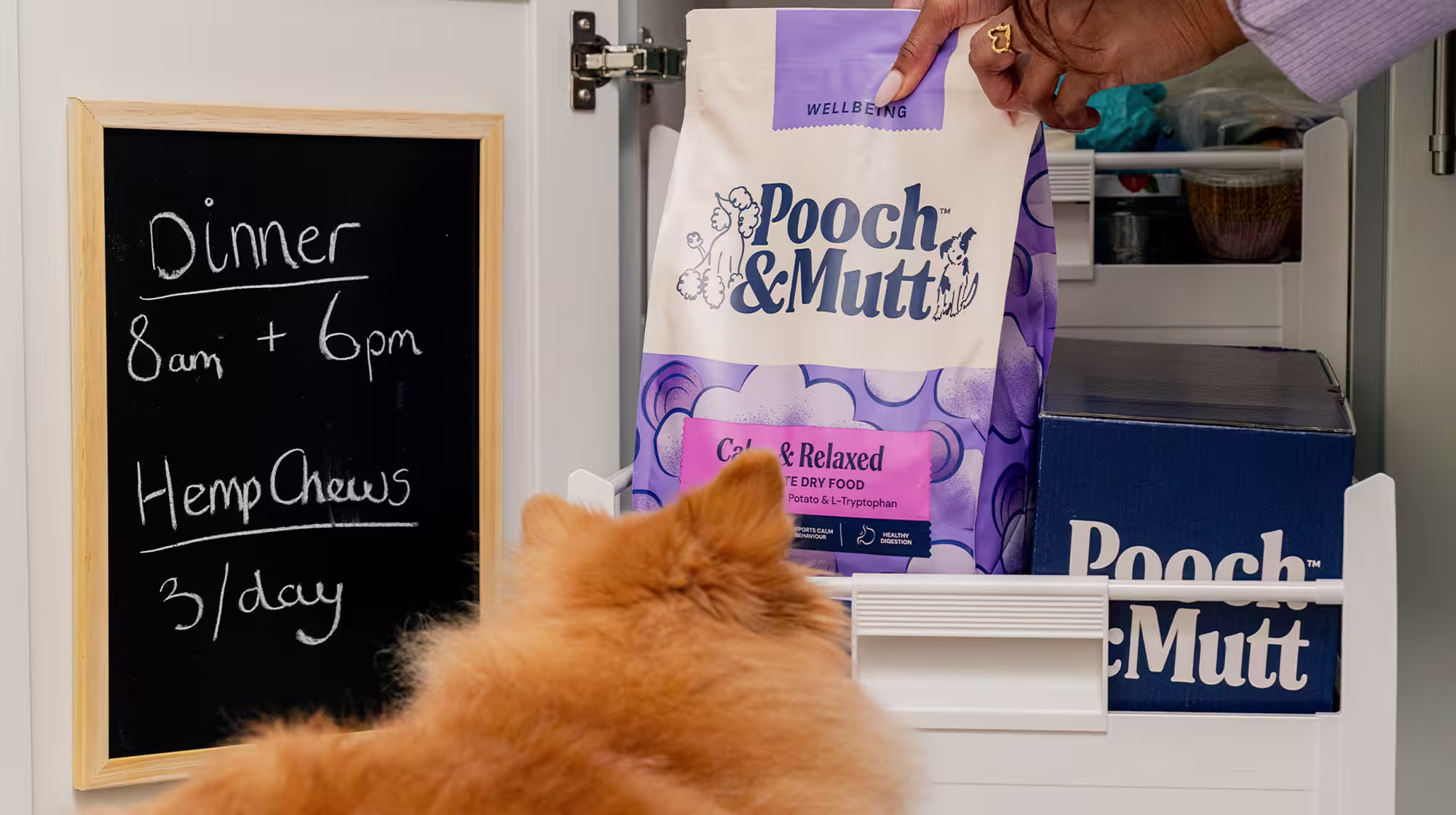 A fluffy dog watching their owner take a bag of Pooch & Mutt's Calm & Relaxed Dry Food from the cupboard, with a black board next to it that states what time dinner is, and to take Hemp Chews three times a day.