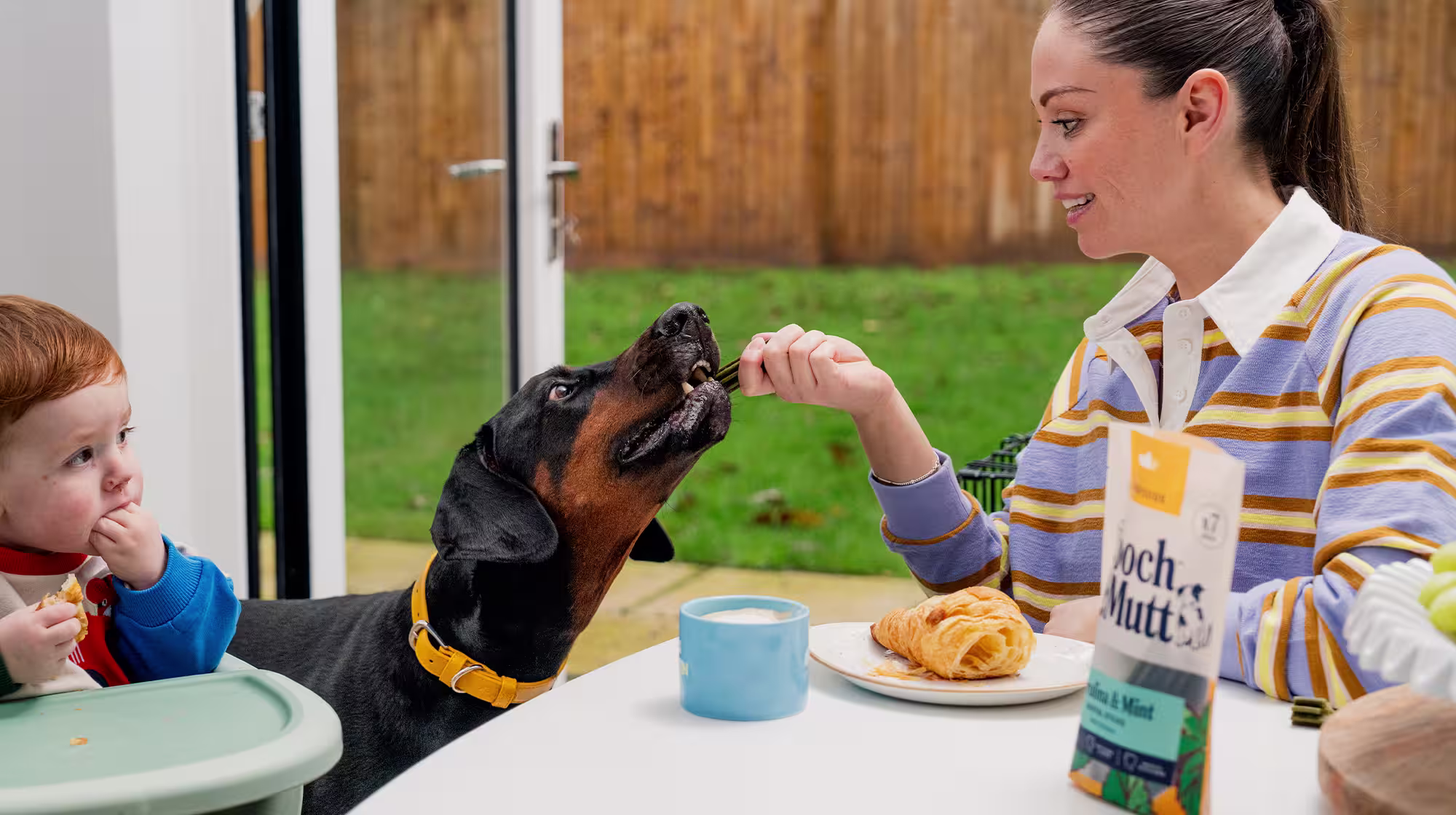 A mother and son sat at the dinner table as the mother feeds her Doberman a Pooch & Mutt dental chew