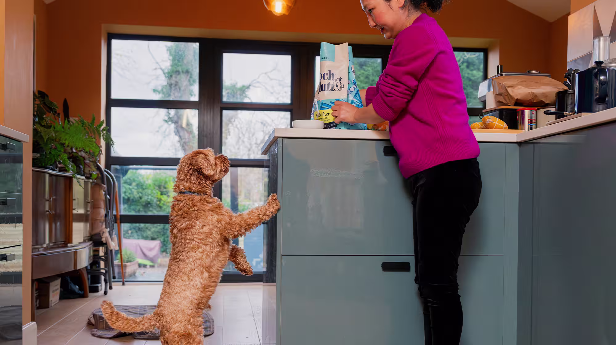 A dog and owner are in their kitchen, the dog has one paw up the side of the cabinet as they long for the food their owner is preparing.