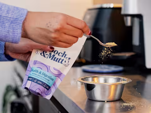 A dog owner sprinkles Pooch & Mutt's Health & Digestion Bionic Biotic Supplement powder on dog food.