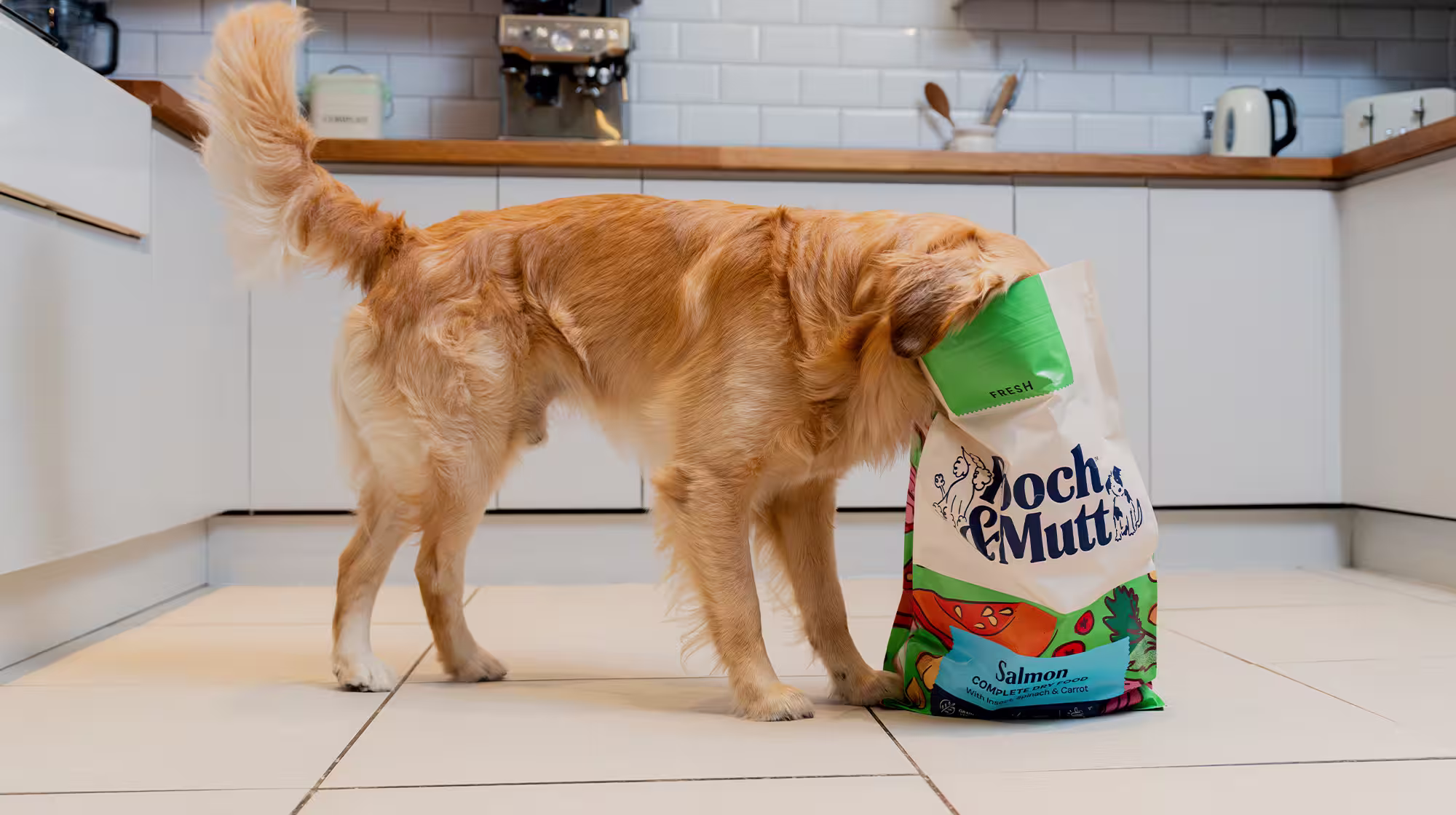 A Golden Retriever in a kitchen with their head in a bag of Pooch & Mutt's Fresh Salmon Dry Food.